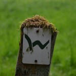 29 Ein treuer Begleiter, der mich auf dem Westerwald Steig nie im Stich lässt #TTwandern ©entdecker-greise.de
