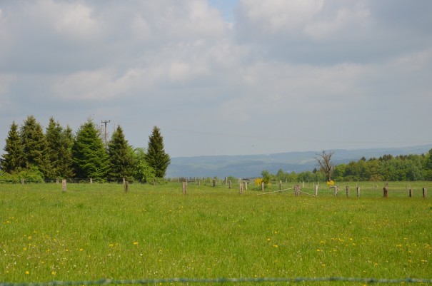 Herrlicher Ausblick bei meiner Rast am Fuße des Raiffeisenturms #TTwandern auf dem Westerwald Steig ©entdecker-greise.de