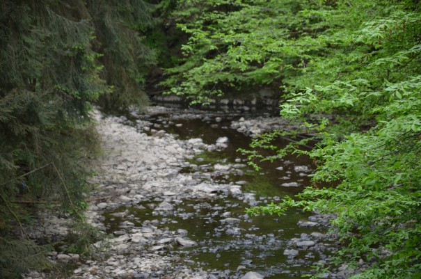 Entschleunigung und Ruhe auf dem Westerwald Steig #TTwandern ©entdecker-greise.de
