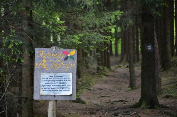 Unvorstellbar, das dies hier ein alter Kohletransportweg war. #TTwandern auf dem Westerwald Steig ©entdecker-greise.de