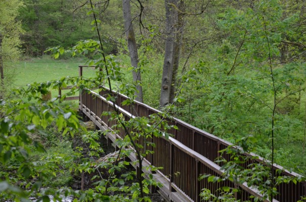 Hier fließen Große und Kleine Nister zusammen. #TTwandern Westerwald Steig ©entdecker-greise.de