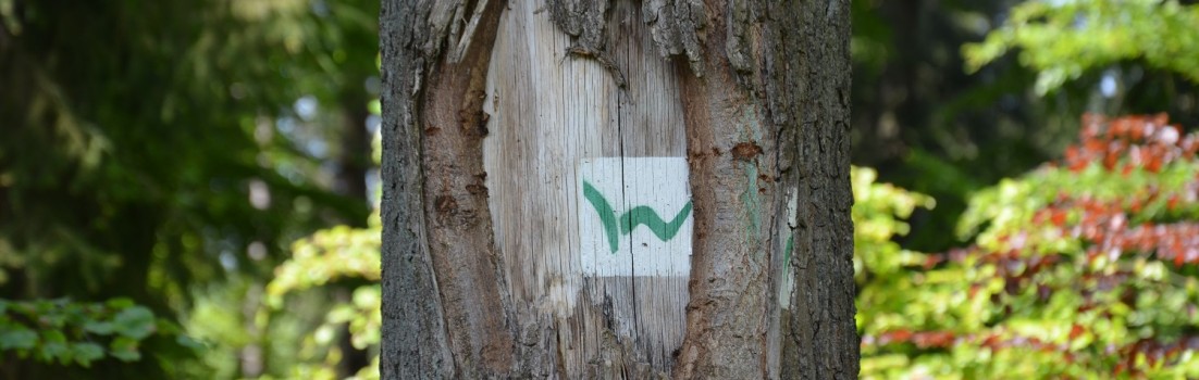 49 Wegweisend! Der Westerwald Steighat eine ebenso lückenlose wie wundervolle Streckenführung! #TTwandern ©entdecker-greise.de