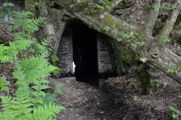 Das war mir ganz schön unheimlich hier ... beim #TTwandern auf dem Westerwald Steig ©entdecker-greise.de