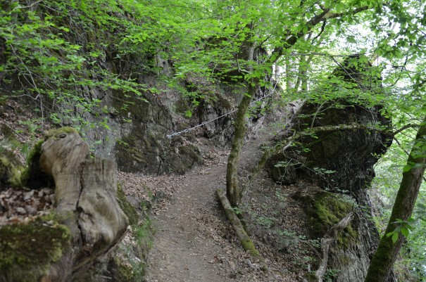 Dank der Drahtseilführung ist der Anstieg hier auf dem Westerwald Steig kein Problem #TTwandern ©entdecker-greise.de
