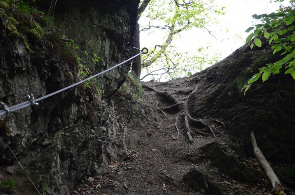 Ganz schön kräftezehrendes #TTwandern auf dem Westerwald Steig ©entdecker-greise.de