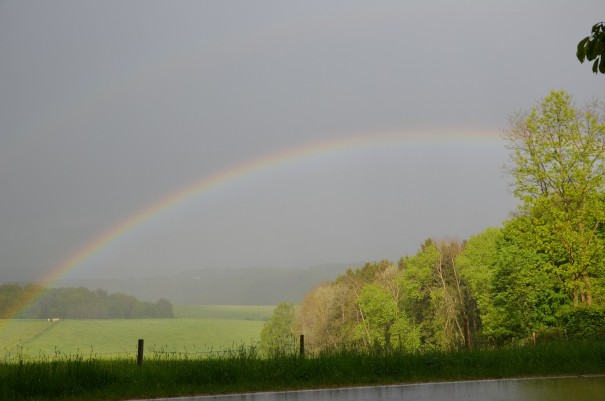 Und ganz zum Schluss wird es dann tatsächlich noch richtig majestätisch hier beim #TTwandern auf dem Westerwald Steig! ©entdecker-greise.de