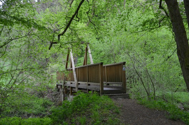 Professionell organisiertes und qualitativ hochwertiges Wandervergnügen beim #TTwandern auf dem Westerwald Steig ©entdecker-greise.de