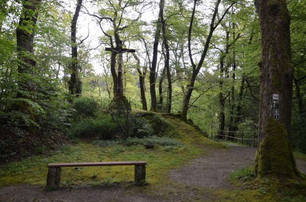 Einer der zahlreichen Orte, die auf dem Westerwald Steig zur inneren Einkehr einladen #TTwandern ©entdecker-greise.de