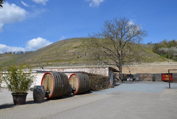 Ankunft auf dem Weingut Sonnenberg in Bad Neuenahr ©entdecker-greise.de