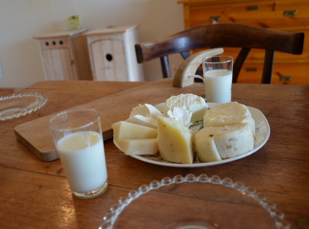 Frische Ziegenmilch und eine köstliche Auswahl feinster Käsespezialitäten vom Rechhof ... ©entdecker-greise.de