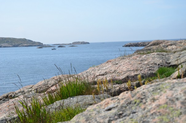 Impressionen vom Südkap Norwegens (13) ©entdecker-greise.de
