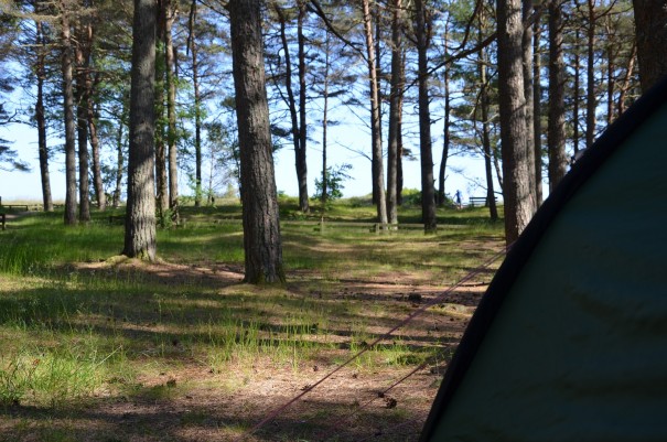 Und so idyllisch kann man im Feriencenter Sjosanden sein Zelt aufbauen ... einfach nur herrlich! ©entdecker-greise.de