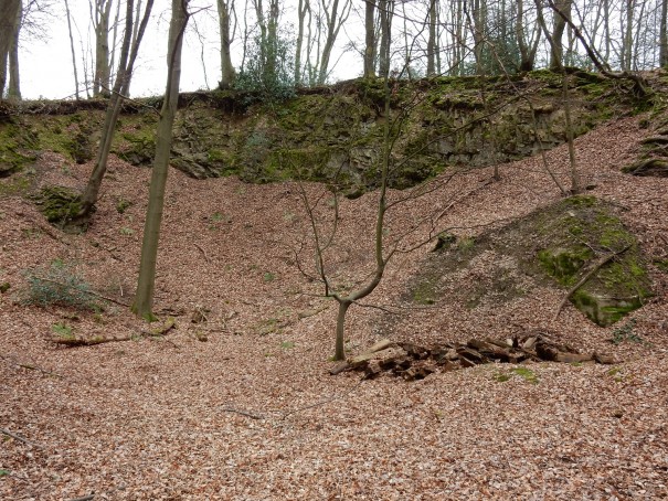 Bei jedem Wetter wunderschön - die Wanderung auf dem Bergbauweg. ©entdecker-greise.de