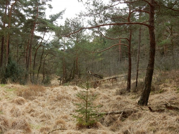 Der Bergbauweg besticht durch eine herrlich wechselbare Landschaft ©entdecker-greise.de