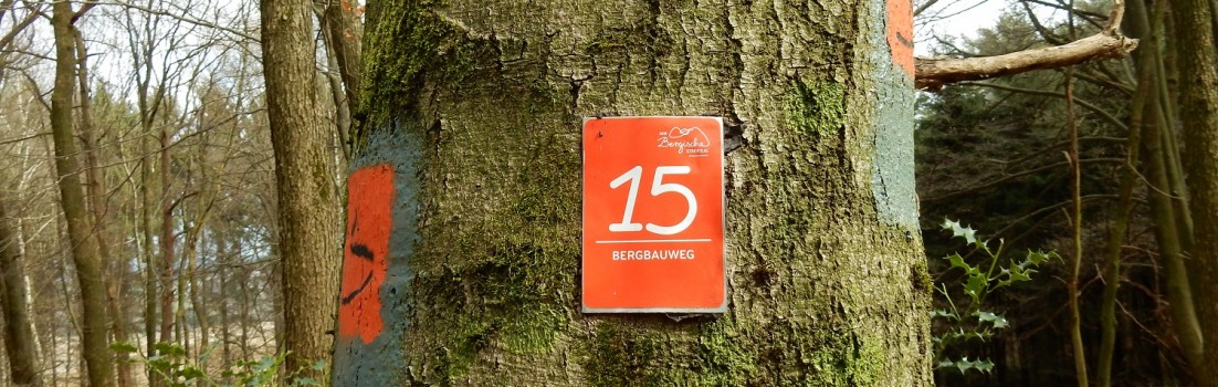 Durchgängige und lückenlose Wegmakierung auf dem Bergbauweg. ©entdecker-greise.de