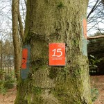 Durchgängige und lückenlose Wegmakierung auf dem Bergbauweg. ©entdecker-greise.de