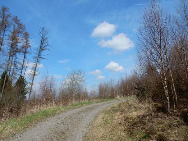Die Wasserlandroute - abwechslungsreiche Rundwanderung durch das Bergische Land ©entdecker-greise.de