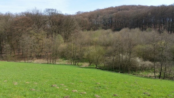 Entschleunigung und Naturerlebnisse im Bergischen Land. ©entdecker-greise.de