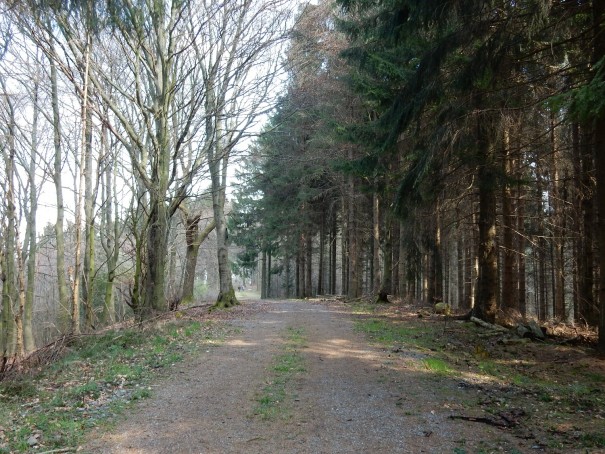 Forstwege wechseln sich ab mit versteckten Pfaden in Waldgebieten und Wiesenwegen über die Höhen des Bergischen Landes. ©entdecker-greise.de