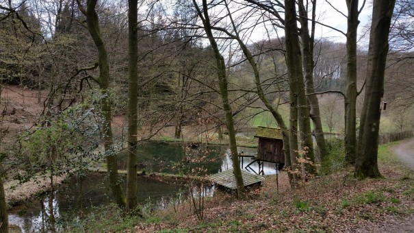 Idyllische Wegführung auf der Wasserlandroute durch das Bergische Land. ©entdecker-greise.de