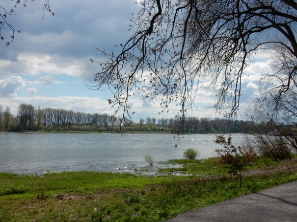 Überall auf dem Rad Rheinweg laden Ruhebänke zum Verweilen und Genießen ein. ©entdecker-greise.de
