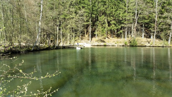 Der Klamgpfad bei Nümbrecht hat alles zu bieten, Gewässer, Wälder, Wiesen, Weitblicke ... ©entdecker-greise.de