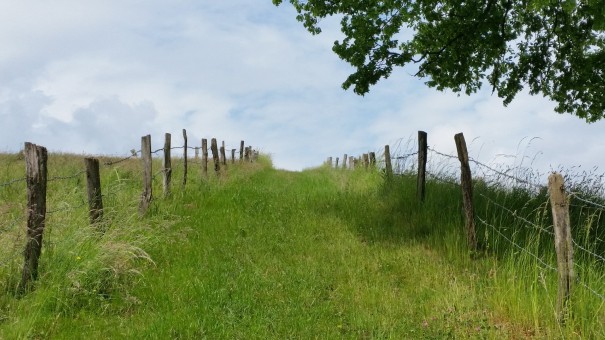 Der Weg als Ziel ... #Bergische50 ©entdecker-greise.de