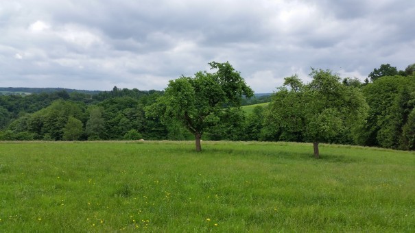 Die Weite des Bergischen Landes erspüren ... #Bergische50 ©entdecker-greise.de