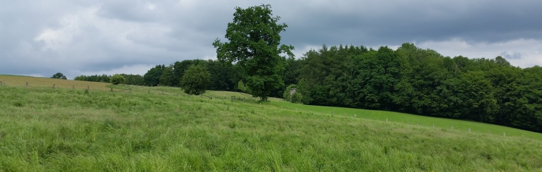 Wandern im Bergischen Land #Bergische50 ©entdecker-greise.de