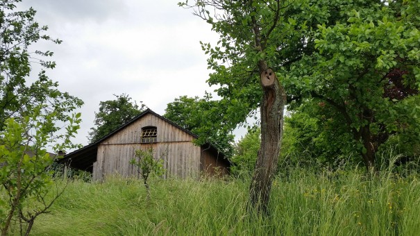 Wunderschöne Orte entdecken ... #Bergische50 ©entdecker-greise.de