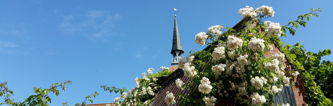 20160628_104308