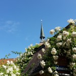 20160628_104308